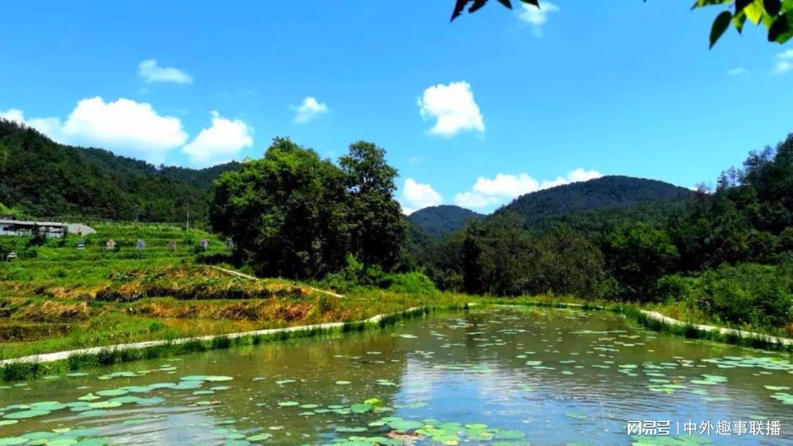 蚂蚁快手自助下单挂人气