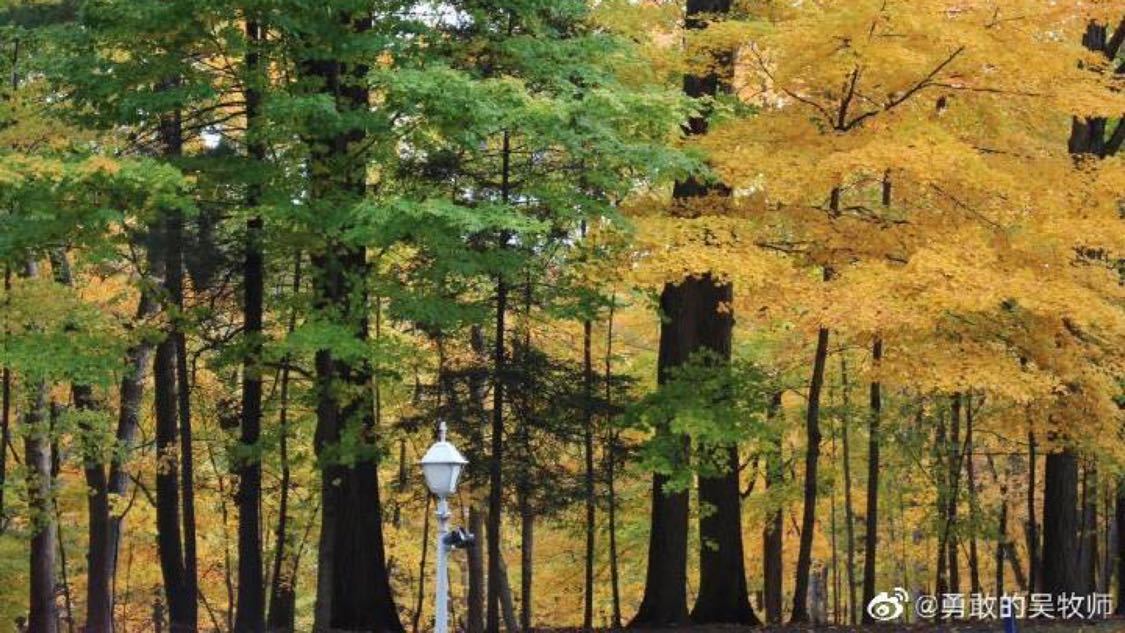 卡密在线自动发卡平台