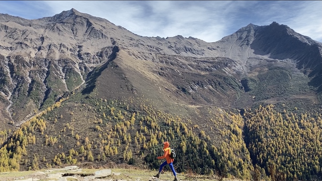 绿钻永久 无限卡